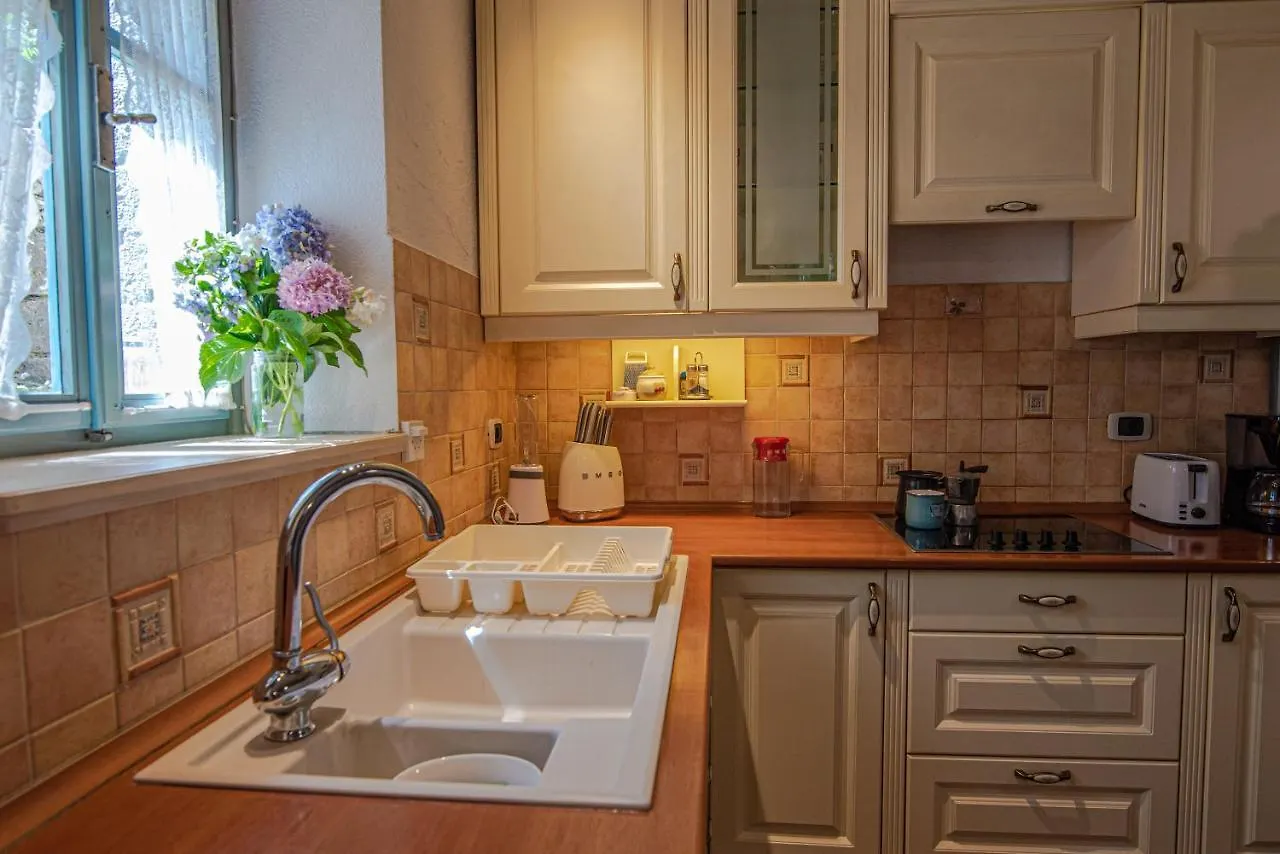 Willa Spod Korit - Brgudac, Opatija With Hot Tub And Free Parking