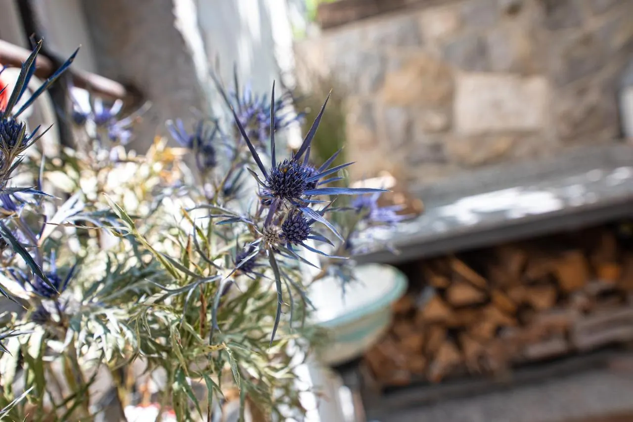 Willa Spod Korit - Brgudac, Opatija With Hot Tub And Free Parking Brgudac